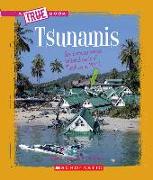 Tsunamis (a True Book: Earth Science)