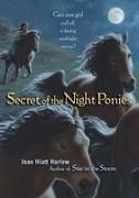 Secret of the Night Ponies