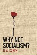 Why Not Socialism?