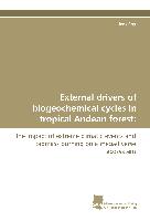 External drivers of biogeochemical cycles in tropical Andean forest