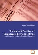 Theory and Practice of Equilibrium Exchange Rates