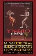 Gender and Society in Contemporary Brazilian Cinema