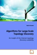 Algorithms for Large-Scale Topology Discovery