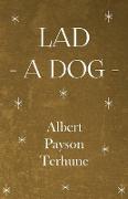 Lad - A Dog
