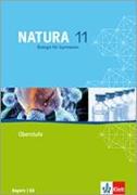 Natura Biologie für Gymnasien. Schülerband 11. Schuljahr. G8. Ausgabe für Bayern