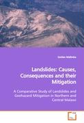 Landslides: Causes, Consequences and their Mitigation