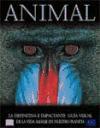 Animal : la definitiva e impaciente guía visual de la vida salvaje en nuestro planeta