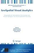 Geospatial Visual Analytics