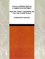 Novel Approaches to Carbon Management: Separation, Capture, Sequestration, and Conversion to Useful Products: Workshop Report