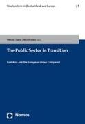 The Public Sector in Transition