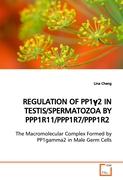 REGULATION OF PP1GAMMA2 IN TESTIS/SPERMATOZOA BY PPP1R11/PPP1R7/PPP1R2