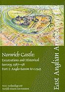 Norwich Castle: Excavations and Historical Survey 1987-98. Part I Anglo-Saxon to C.1345, and Part II C.1345-Modern