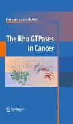 The Rho GTPases in Cancer