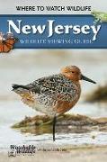 New Jersey Wildlife Viewing Guide: Where to Watch Wildlife