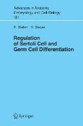 Regulation of Sertoli Cell and Germ Cell Differentiation