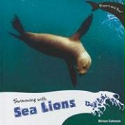 Swimming with Sea Lions