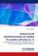 MOLECULAR IDENTIFICATION OF GENES IN LIGON LINTLESS (Li-1)