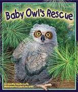 Baby Owl's Rescue