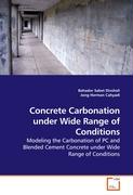 Concrete Carbonation under Wide Range of Conditions