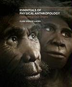 Essentials of Physical Anthropology: Discovering Our Origins