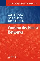 Constructive Neural Networks