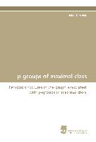 p-groups of maximal class