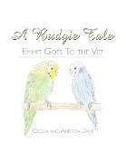 A Budgie Tale: Emmit Goes to the Vet