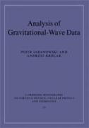 Analysis of Gravitational-Wave Data