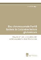 Das chromosomale ParAB System in Corynebacterium glutamicum