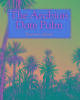 The Arabian Date Palm