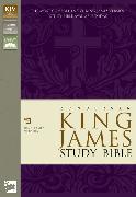 KJV Zondervan Study Bible, Leathersoft, Purple/Green