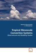 Tropical Mesoscale Convective Systems