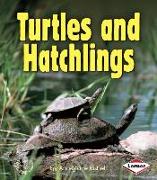 Turtles and Hatchlings