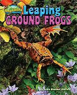 Leaping Ground Frogs