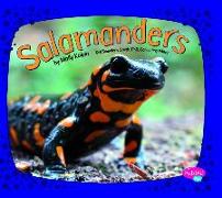 Salamanders