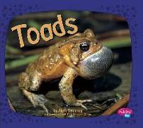 Toads