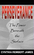 Perseverance: The Power Beneath the Surface
