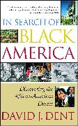 In Search of Black America