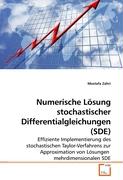 Numerische Lösung stochastischer Differentialgleichungen (SDE)