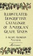 Illustrated Descriptive Catalogue of American Grape Vines - A Grape Growers Manual