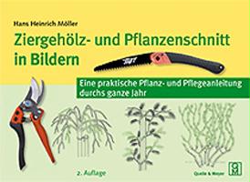 Ziergehölz- und Pflanzenschnitt in Bildern