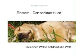 Einstein - Der schlaue Hund