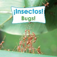 Insectos!/Bugs!