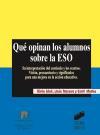 Qué opinan los alumnos sobre la ESO : su interpretación del currículo y los centros: visión, pensamiento y significado para una mejora en la acción educativa