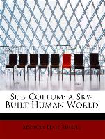 Sub-Coelum: A Sky-Built Human World