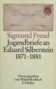Jugendbriefe an Eduard Silberstein 1871-1881