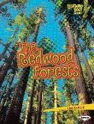 The Redwood Forests