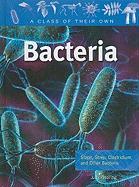 Bacteria: Staph, Strep, Clostridium, and Other Bacteria