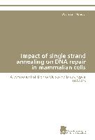 Impact of single strand annealing on DNA repair in mammalian cells