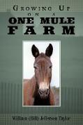 Growing Up On A One Mule Farm